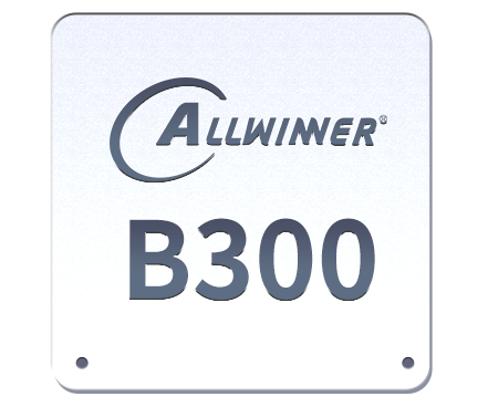 B300